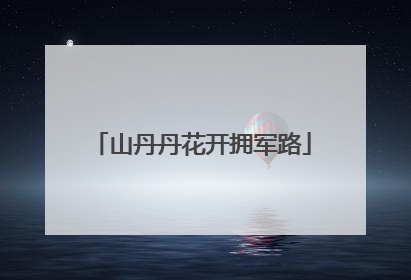 山丹丹花开拥军路