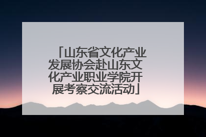 山东省文化产业发展协会赴山东文化产业职业学院开展考察交流活动