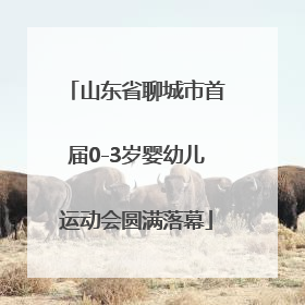 山东省聊城市首届0-3岁婴幼儿运动会圆满落幕