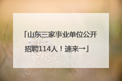 山东三家事业单位公开招聘114人！速来→