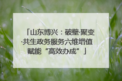 山东博兴：破壁·聚变·共生政务服务六维增值赋能“高效办成”