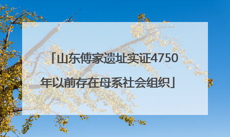 山东傅家遗址实证4750年以前存在母系社会组织