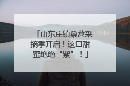 山东庄镇桑葚采摘季开启！这口甜蜜绝绝“紫”！