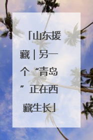 山东援藏｜另一个“青岛”正在西藏生长