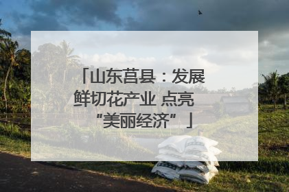 山东莒县：发展鲜切花产业 点亮“美丽经济”