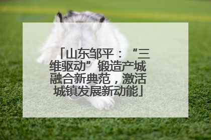 山东邹平：“三维驱动”锻造产城融合新典范，激活城镇发展新动能