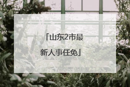 山东2市最新人事任免