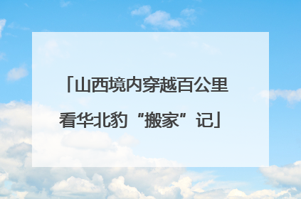 山西境内穿越百公里 看华北豹“搬家”记