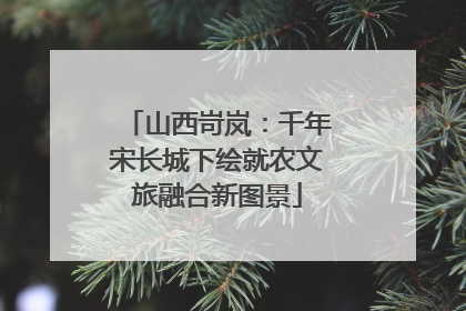 山西岢岚：千年宋长城下绘就农文旅融合新图景