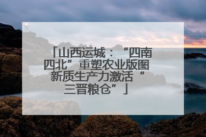 山西运城：“四南四北”重塑农业版图 新质生产力激活“三晋粮仓”