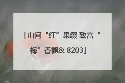 山间“红”果缀 致富“梅”香飘& 8203
