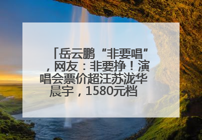 岳云鹏“非要唱”，网友：非要挣！演唱会票价超汪苏泷华晨宇，1580元档20秒抢空