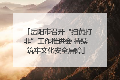 岳阳市召开“扫黄打非”工作推进会 持续筑牢文化安全屏障