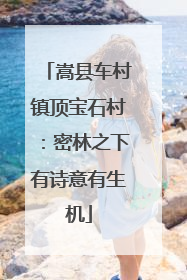 嵩县车村镇顶宝石村：密林之下有诗意有生机