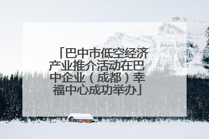 巴中市低空经济产业推介活动在巴中企业（成都）幸福中心成功举办