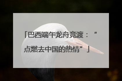 巴西端午龙舟竞渡：“点燃去中国的热情”