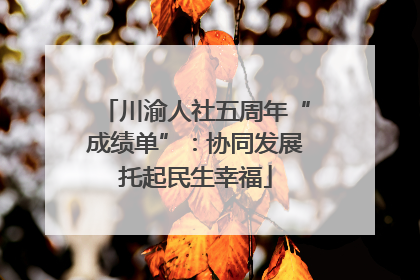 川渝人社五周年“成绩单”：协同发展托起民生幸福