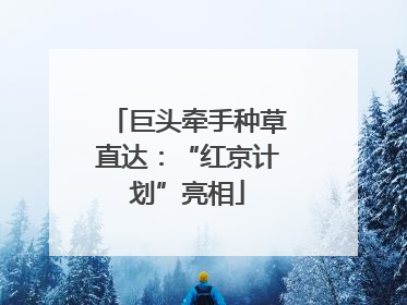 巨头牵手种草直达：“红京计划”亮相
