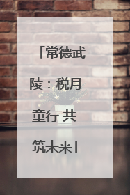 常德武陵：税月童行 共筑未来