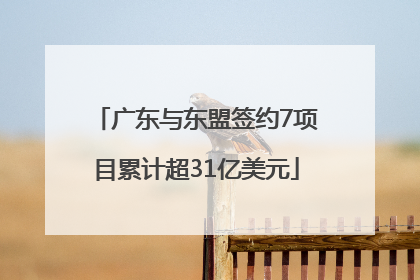 广东与东盟签约7项目累计超31亿美元