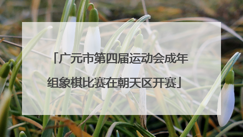 广元市第四届运动会成年组象棋比赛在朝天区开赛