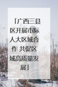 广西三县区开展市际人大区域合作 共促区域高质量发展