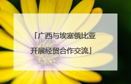 广西与埃塞俄比亚开展经贸合作交流
