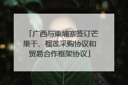 广西与柬埔寨签订芒果干、榴莲采购协议和贸易合作框架协议