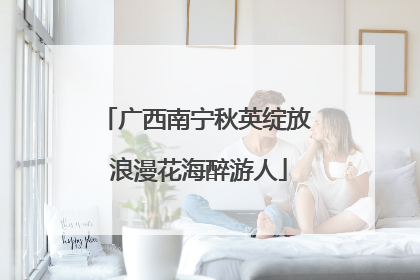 广西南宁秋英绽放 浪漫花海醉游人