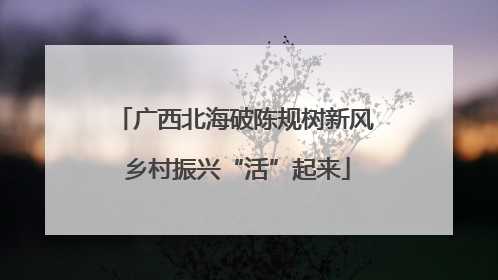 广西北海破陈规树新风 乡村振兴“活”起来