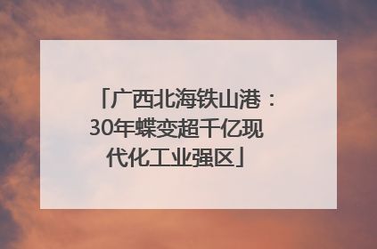 广西北海铁山港：30年蝶变超千亿现代化工业强区