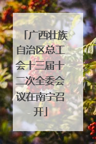 广西壮族自治区总工会十三届十二次全委会议在南宁召开