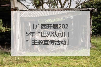 广西开展2025年“世界认可日”主题宣传活动
