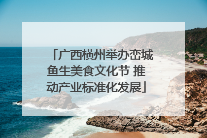 广西横州举办峦城鱼生美食文化节 推动产业标准化发展