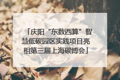 庆阳“东数西算”智慧低碳园区实践项目亮相第三届上海碳博会
