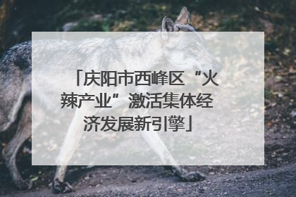 庆阳市西峰区“火辣产业”激活集体经济发展新引擎