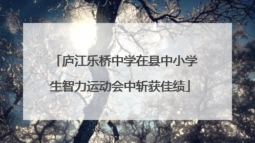 庐江乐桥中学在县中小学生智力运动会中斩获佳绩