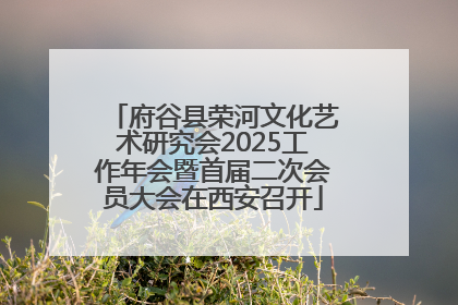 府谷县荣河文化艺术研究会2025工作年会暨首届二次会员大会在西安召开