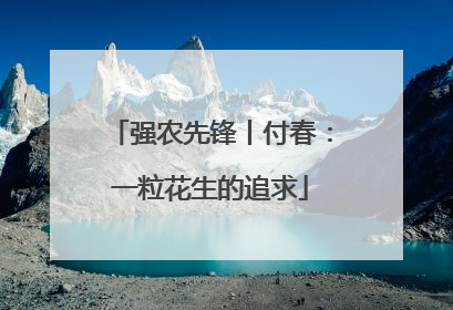 强农先锋丨付春：一粒花生的追求