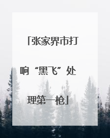 张家界市打响“黑飞”处理第一枪