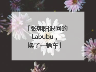 张朝阳退回的Labubu，换了一辆车