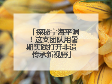 探秘宁海平调！这支团队用暑期实践打开非遗传承新视野