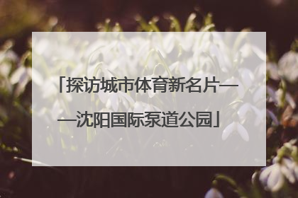 探访城市体育新名片——沈阳国际泵道公园