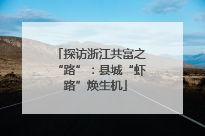 探访浙江共富之“路”：县城“虾路”焕生机