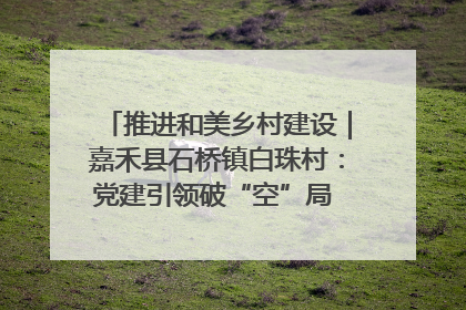 推进和美乡村建设｜嘉禾县石桥镇白珠村：党建引领破“空”局 乡贤聚力绘就新图景