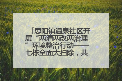 思阳镇温泉社区开展“两清两改两治理”环境整治行动——七栋全面大扫除，共建洁净家园