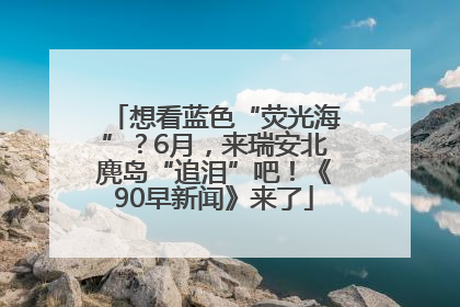 想看蓝色“荧光海”？6月，来瑞安北麂岛“追泪”吧！《90早新闻》来了