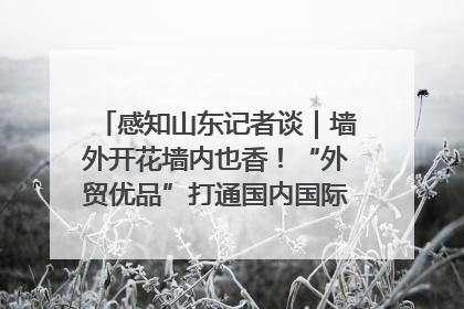 感知山东记者谈｜墙外开花墙内也香！“外贸优品”打通国内国际市场“旋转门”