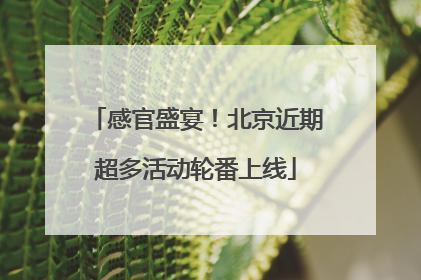 感官盛宴！北京近期超多活动轮番上线