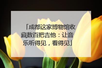 成都这家博物馆收藏数百把吉他：让音乐听得见，看得见